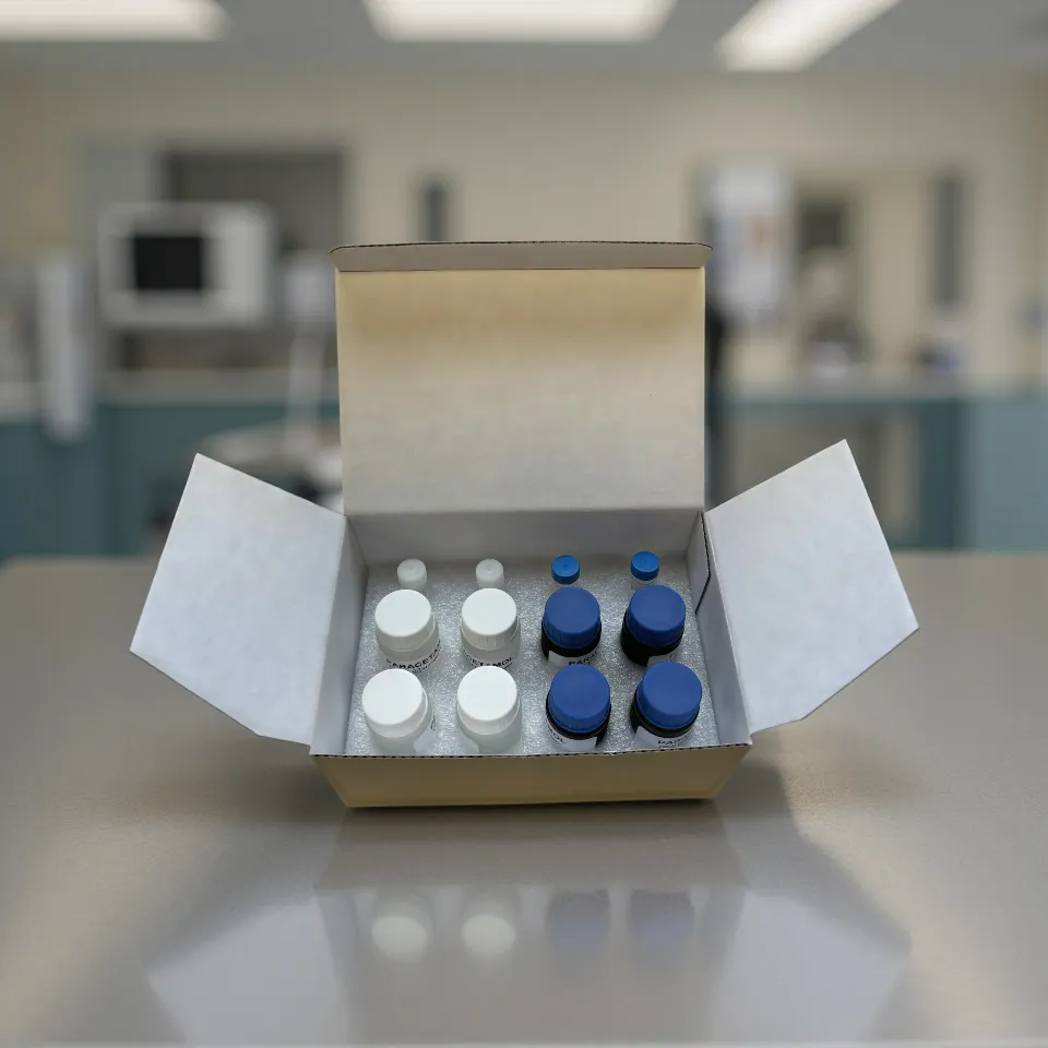 Box with white and blue containers on a metallic surface in a laboratory setting