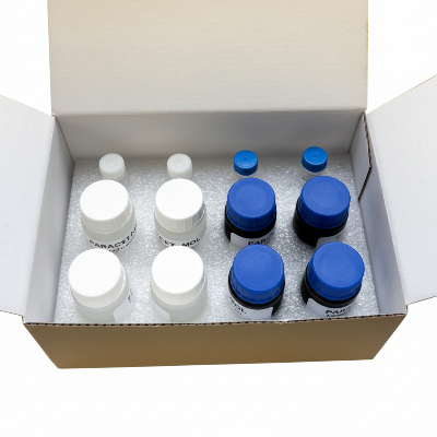 Box containing small bottles with blue and white caps on a white background