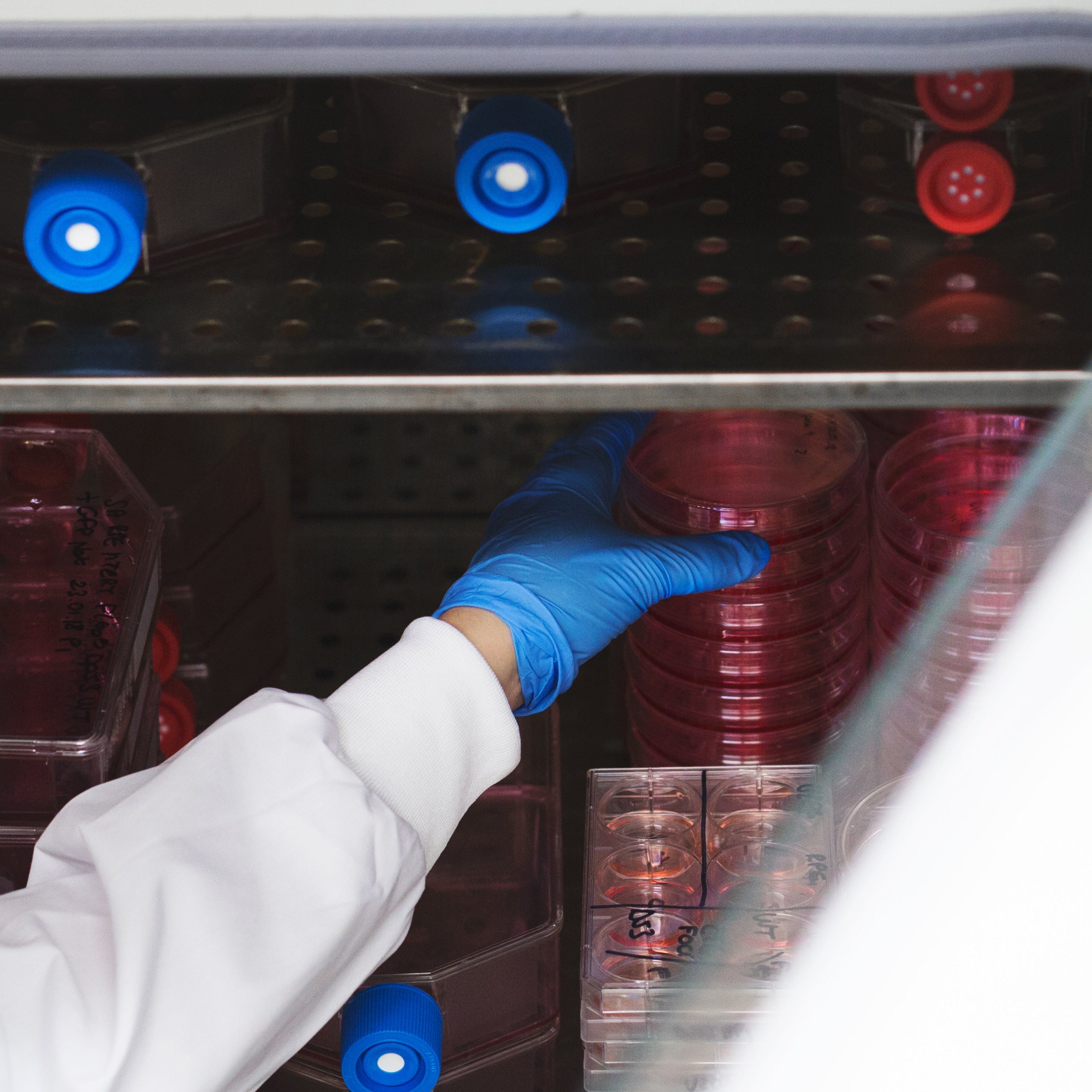 Person wearing a white lab coat and blue gloves handling red containers in a laboratory setting.