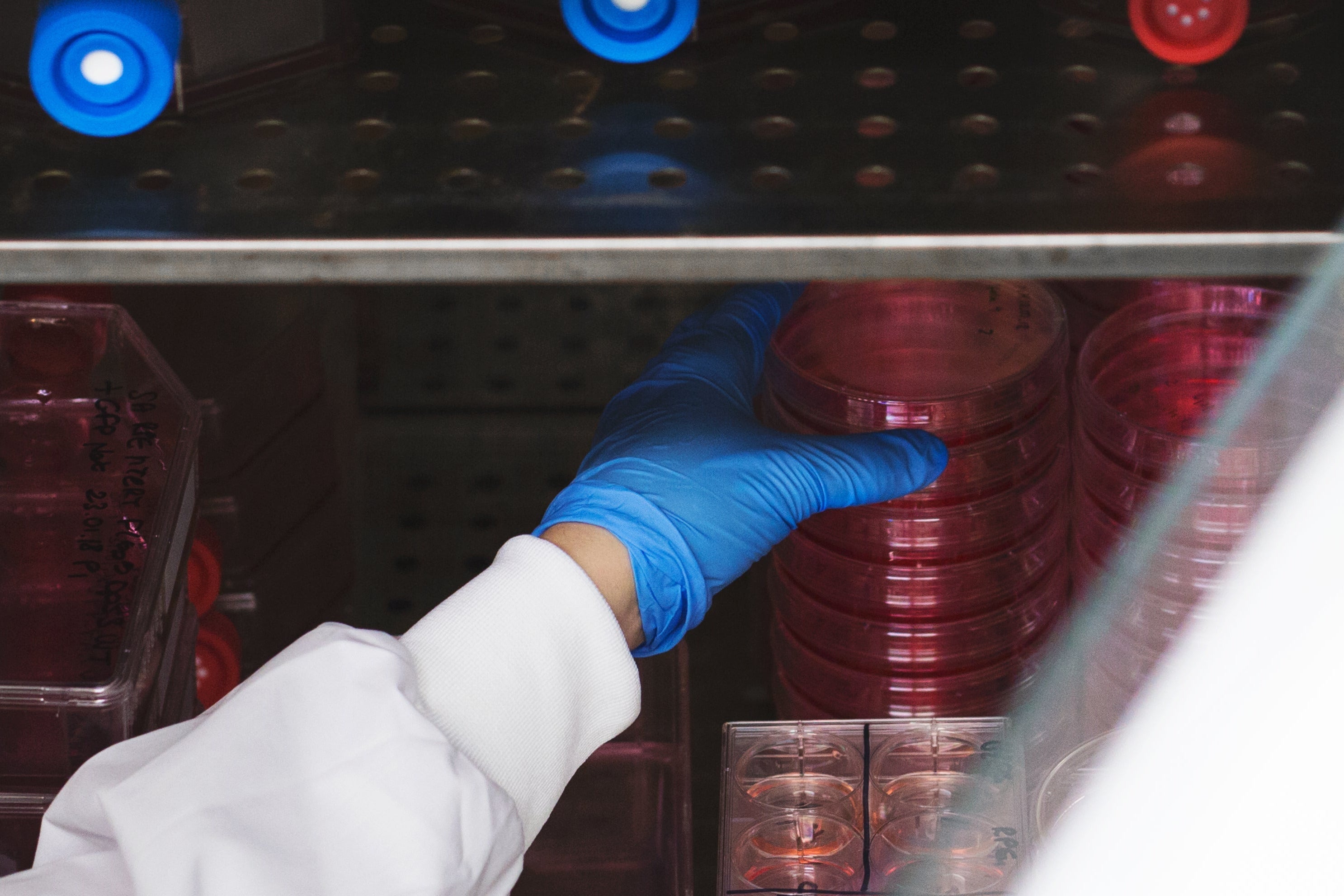 Person wearing a white lab coat and blue gloves handling red containers in a laboratory setting.
