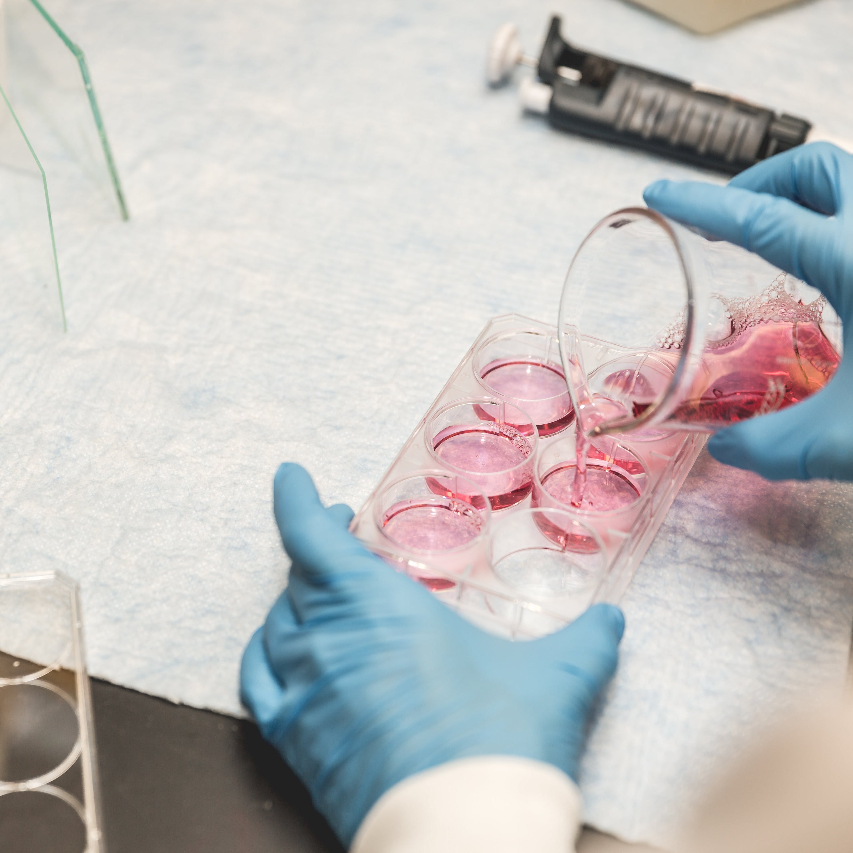 Person in a lab setting pouring red liquid into test tubes.