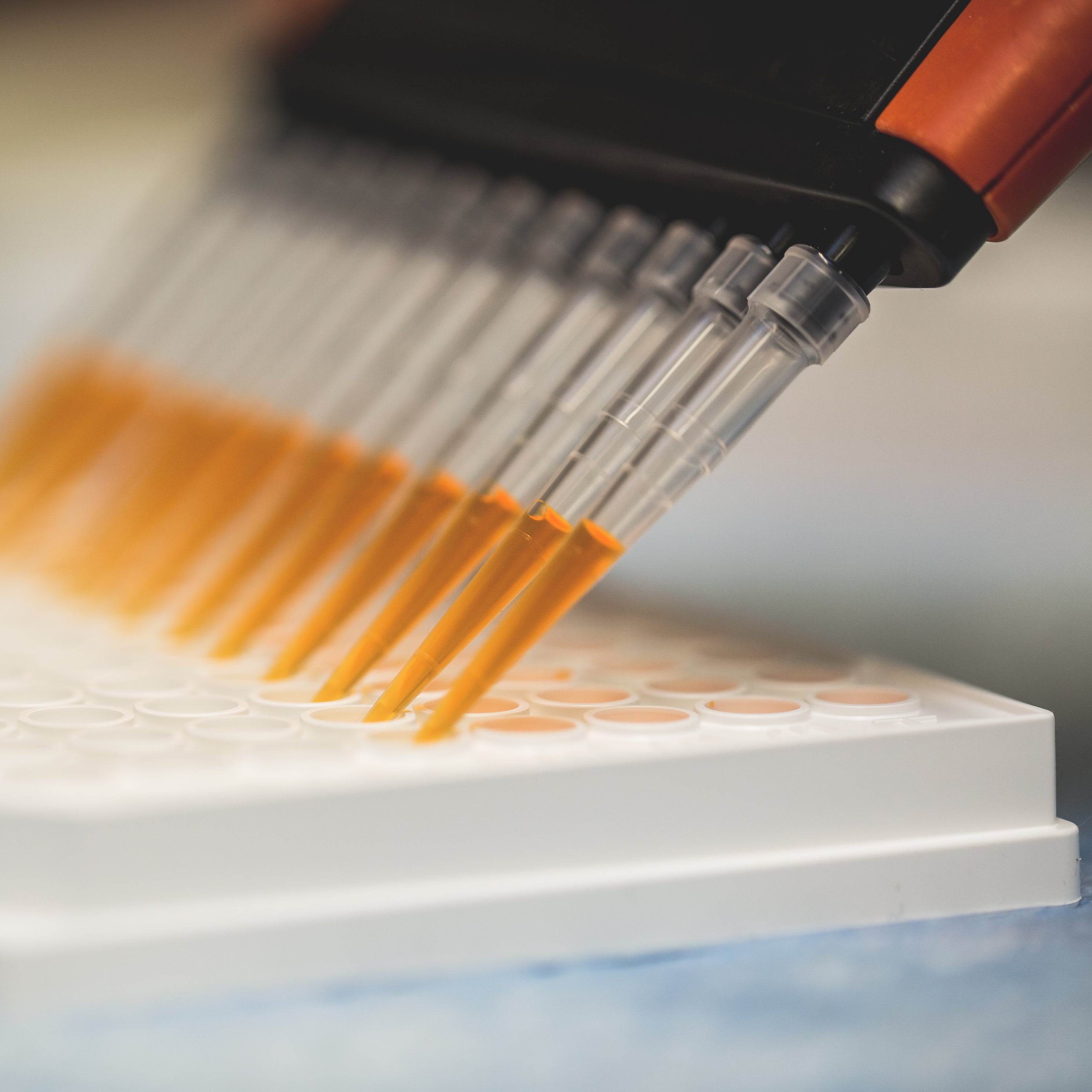 Close-up of a brush with orange bristles applying a substance to a white surface.