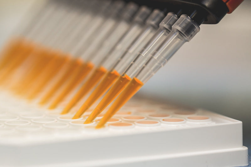 Close-up of a brush with orange bristles applying a substance to a white surface.