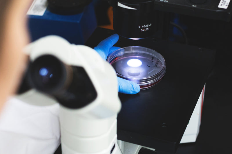 Person using a microscope in a laboratory setting